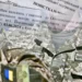 Рекомендації щодо альтернативної служби під час воєнного стану