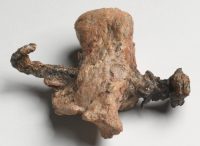 Heel-bone-and-nail-from-the-ossuary-of-‘Yehohanan-son-of-Hagkol”-Jerusalem-1st-century-CE